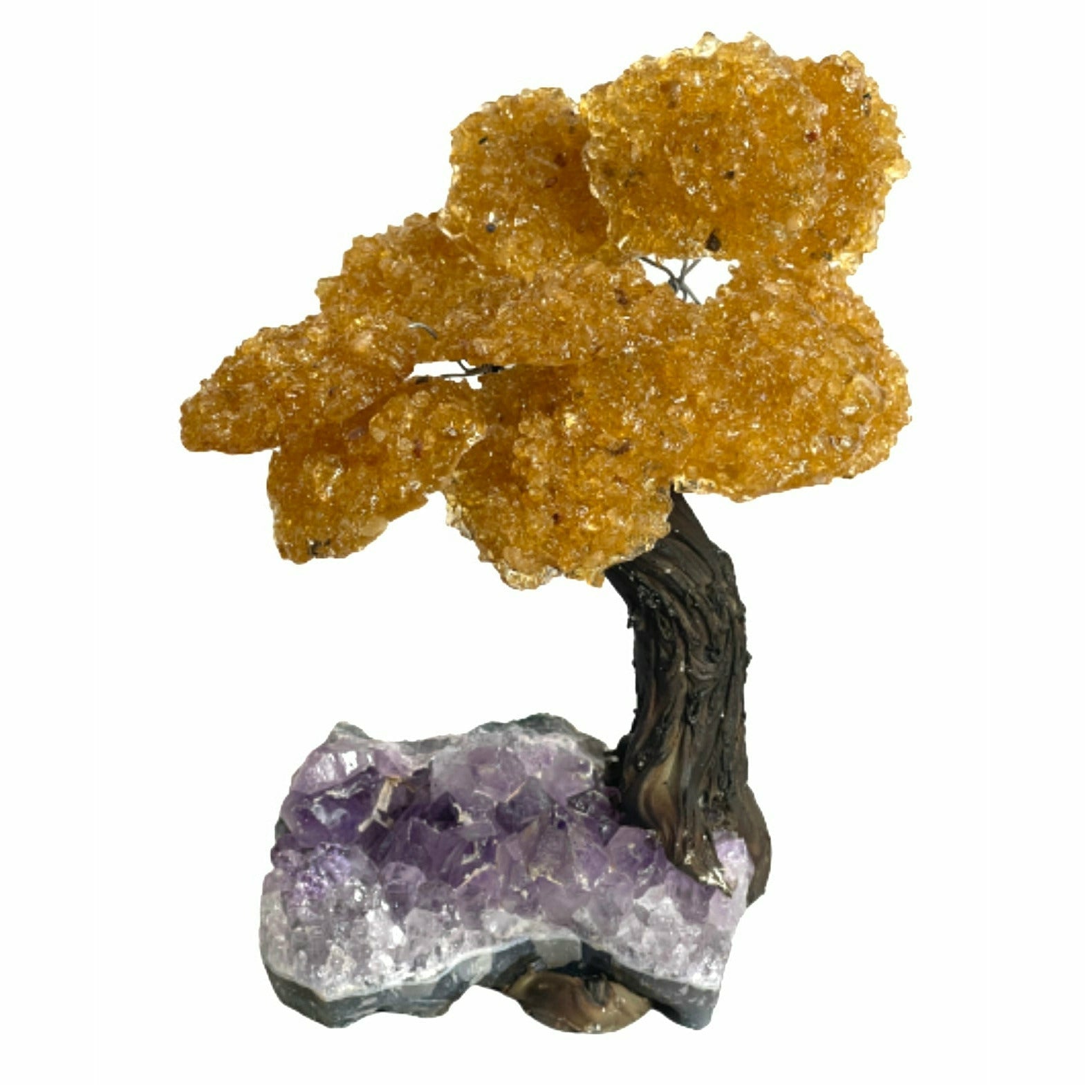 Citrine Cluster Gemstone Tree on Amethyst Matrix shops (The Money Tree)