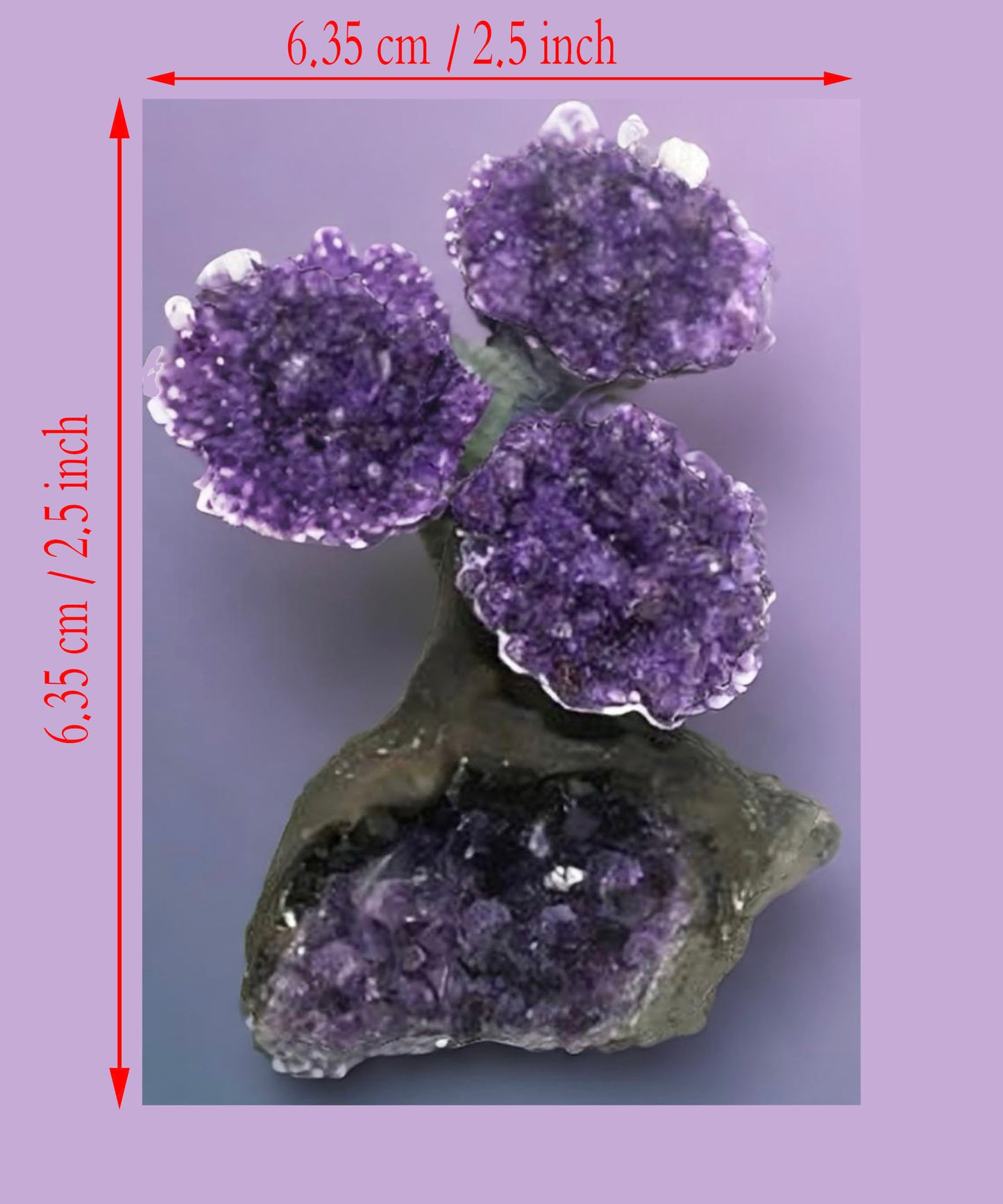 2.5 Inch Genuine Amethyst Tree (Clustered Gemstone Trees with faux bonsai tree trunk on Matrix)