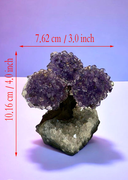 4.0" Brazilian Amethyst Gemstone Tree (Positive Energy)