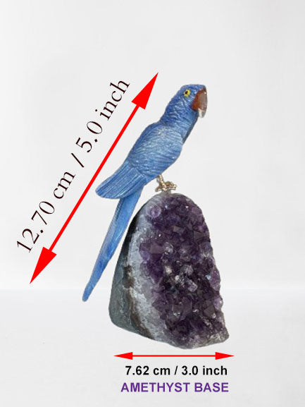 5.5 Inch Sodalite Hyacinth Macaw Parrot on Amethyst Base