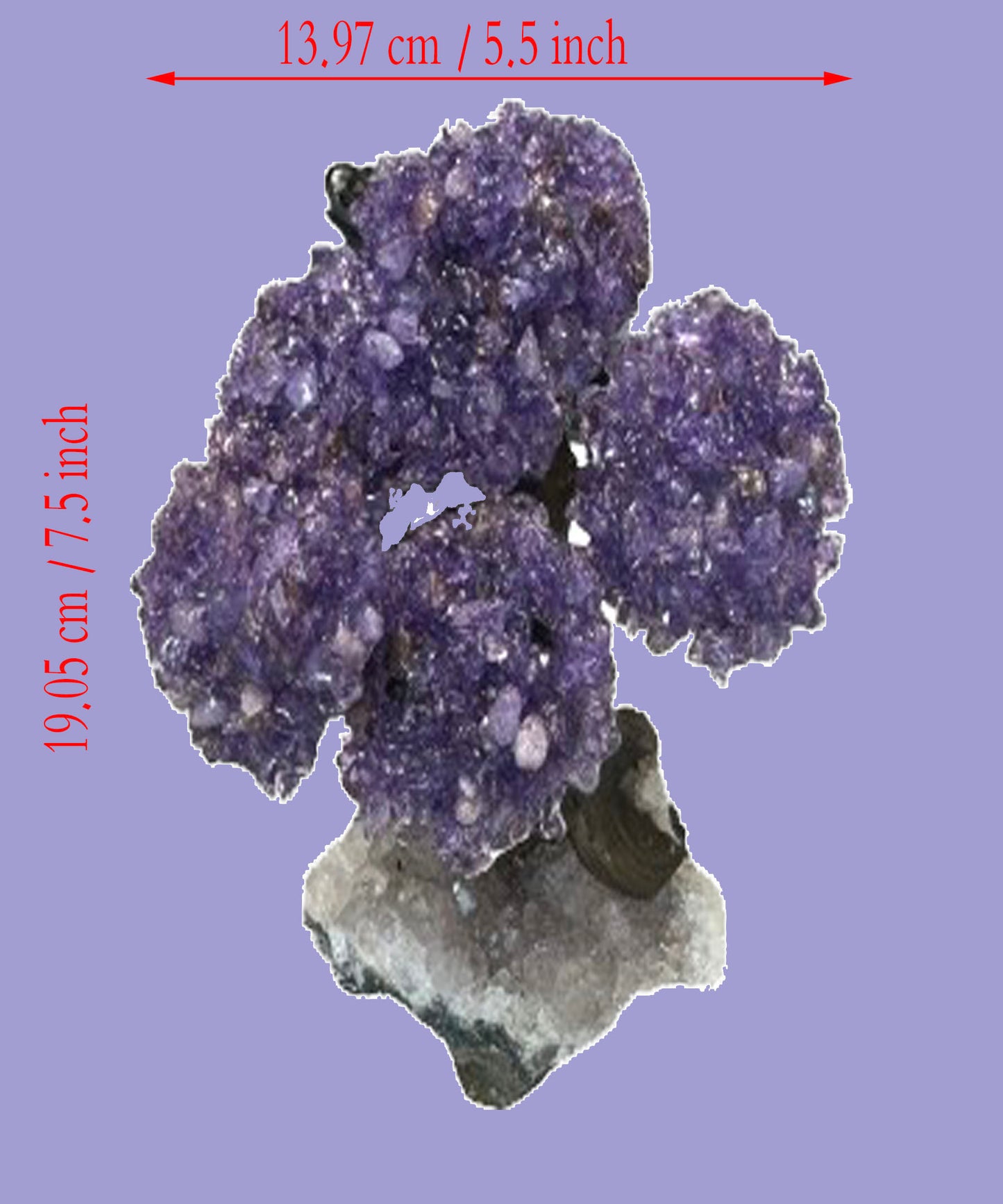 7.5 Inch Genuine Amethyst Tree (Clustered Gemstone Trees with faux bonsai tree trunk on Matrix)