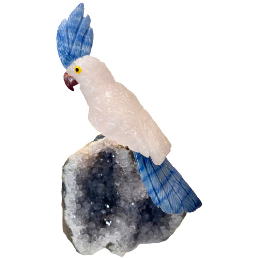 7 Inch Cockatiel Parrot