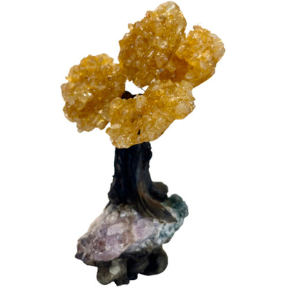 Medium Money Tree - Citrine