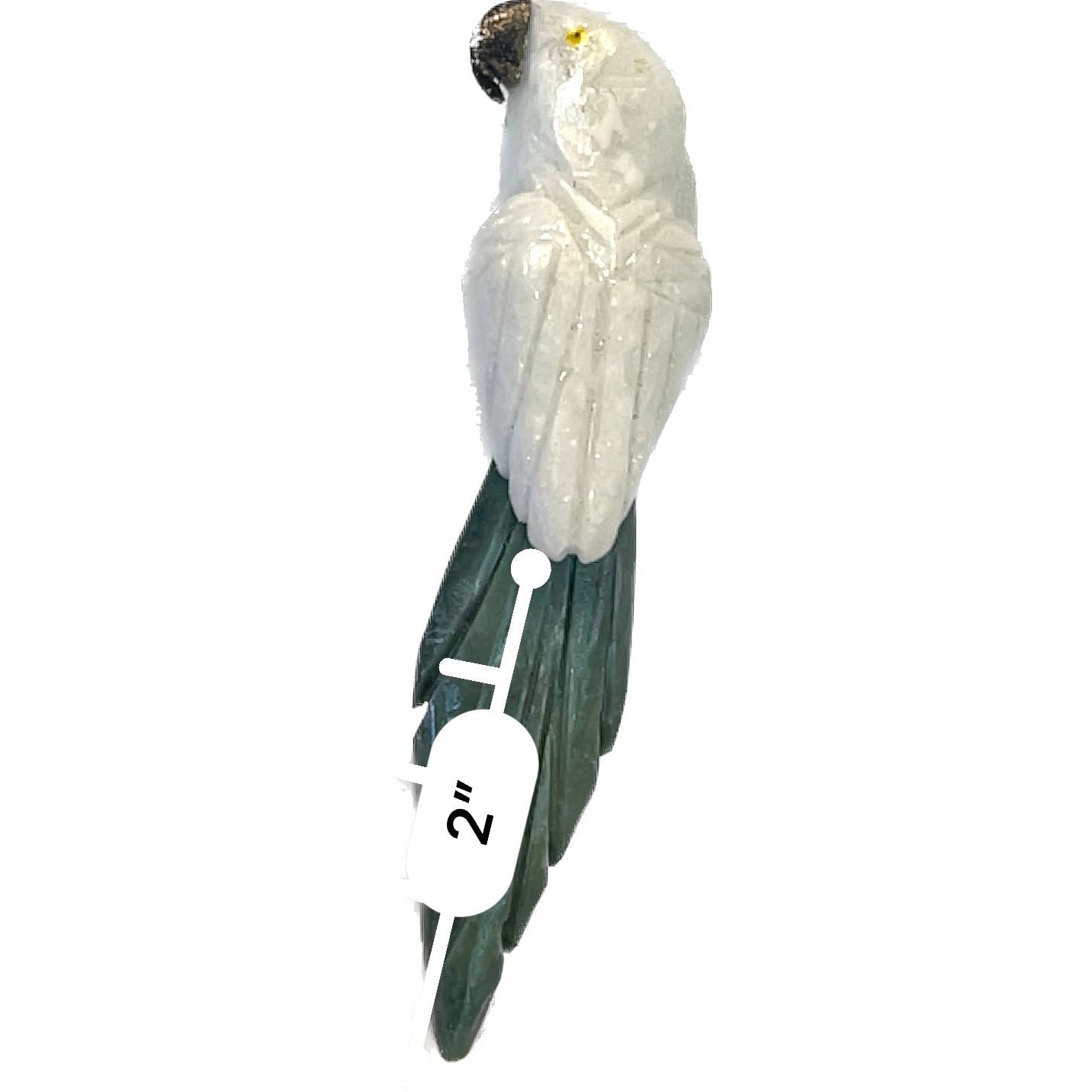 5 Inch Budgerigar Parrot