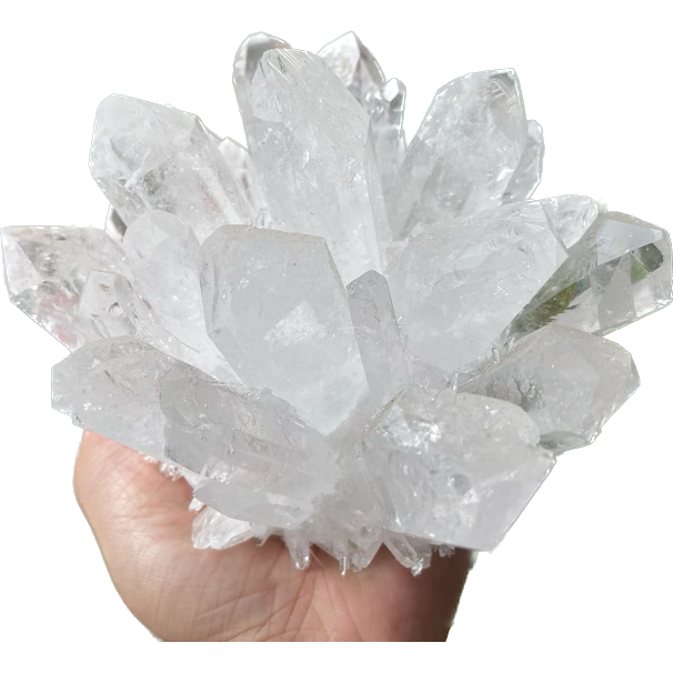 5 Inch Clear Quartz Phantom "Chlorite" Crystal