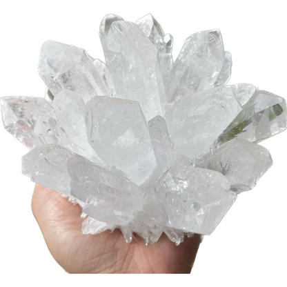 5 Inch Clear Quartz Phantom "Chlorite" Crystal