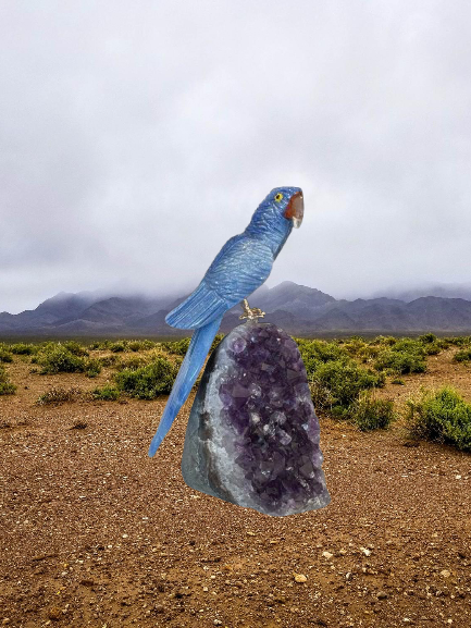 5.5 Inch Sodalite Hyacinth Macaw Parrot on Amethyst Base