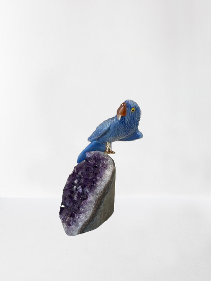 5.5 Inch Sodalite Hyacinth Macaw Parrot on Amethyst Base