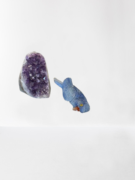 5.5 Inch Sodalite Hyacinth Macaw Parrot on Amethyst Base