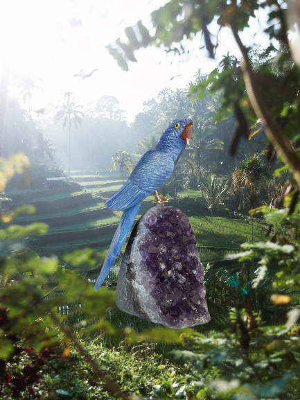 5.5 Inch Sodalite Hyacinth Macaw Parrot on Amethyst Base