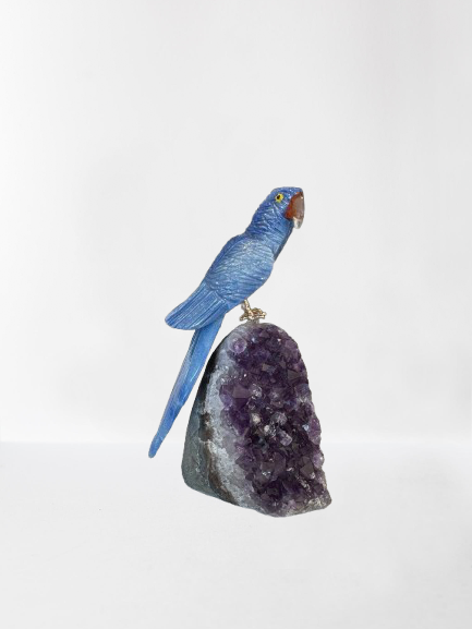 5.5 Inch Sodalite Hyacinth Macaw Parrot on Amethyst Base