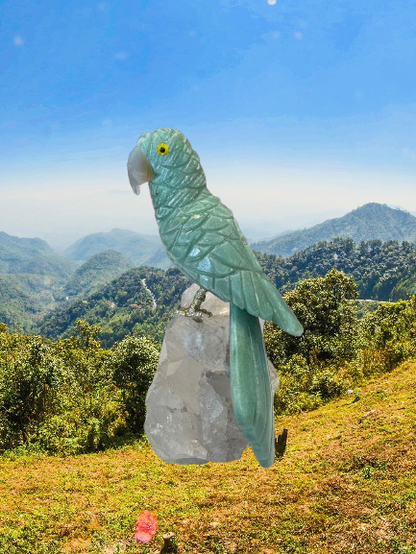 7 Inch budgerigar Parrot on Clear Quartz Base