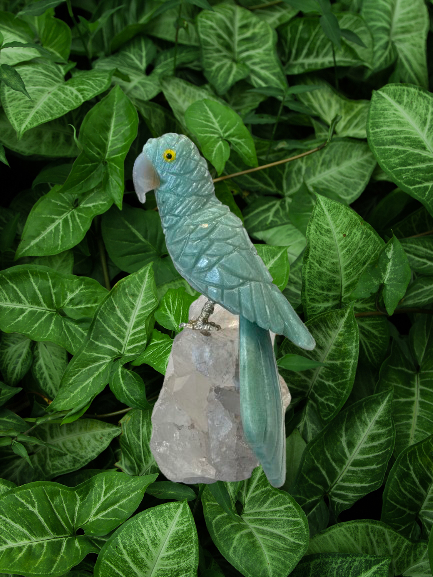 7 Inch budgerigar Parrot on Clear Quartz Base