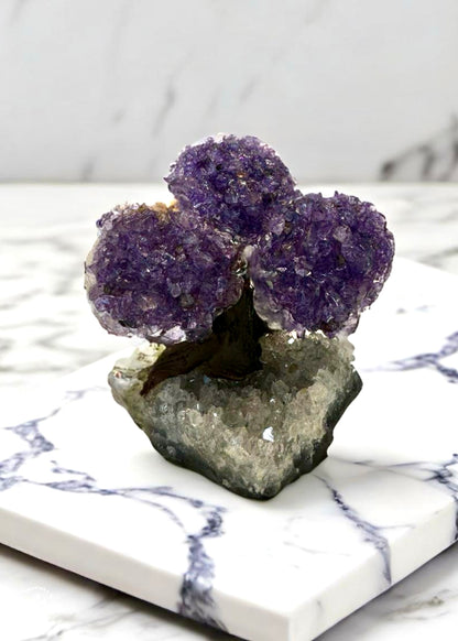 4.0" Brazilian Amethyst Gemstone Tree (Positive Energy)