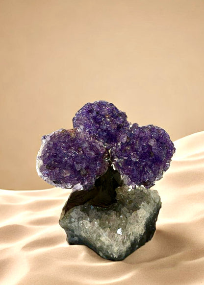 4.0" Brazilian Amethyst Gemstone Tree (Positive Energy)