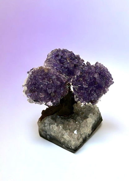 4.0" Brazilian Amethyst Gemstone Tree (Positive Energy)