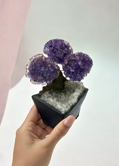 4.0" Brazilian Amethyst Gemstone Tree (Positive Energy)