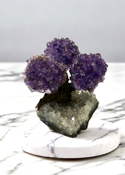 4.0" Brazilian Amethyst Gemstone Tree (Positive Energy)