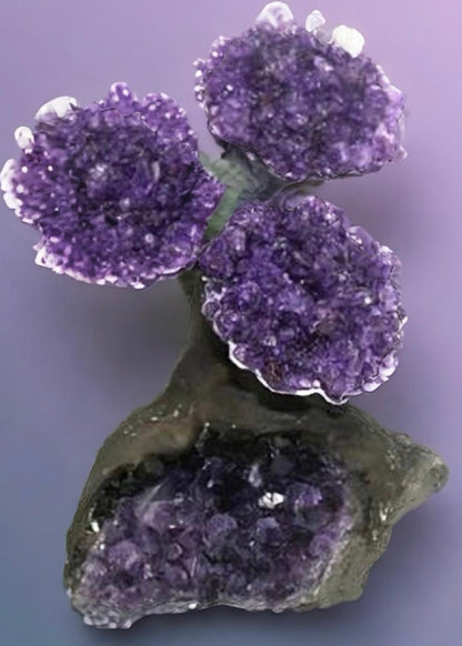 2.5 Inch Genuine Amethyst Tree (Clustered Gemstone Trees with faux bonsai tree trunk on Matrix)