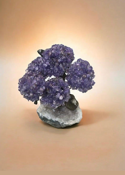 7.5 Inch Genuine Amethyst Tree (Clustered Gemstone Trees with faux bonsai tree trunk on Matrix)