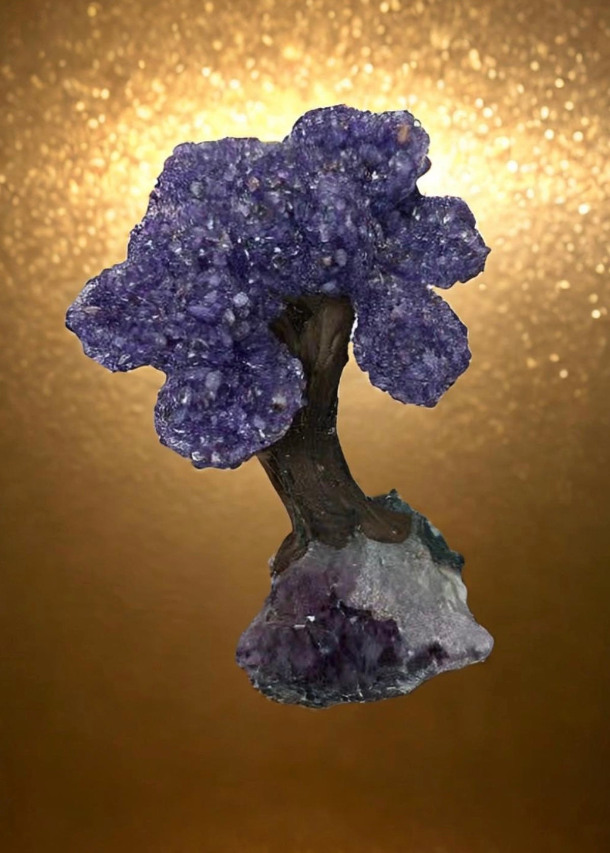 9.5 Inch Genuine Amethyst Tree (Clustered Gemstone Trees with faux bonsai tree trunk on Matrix)