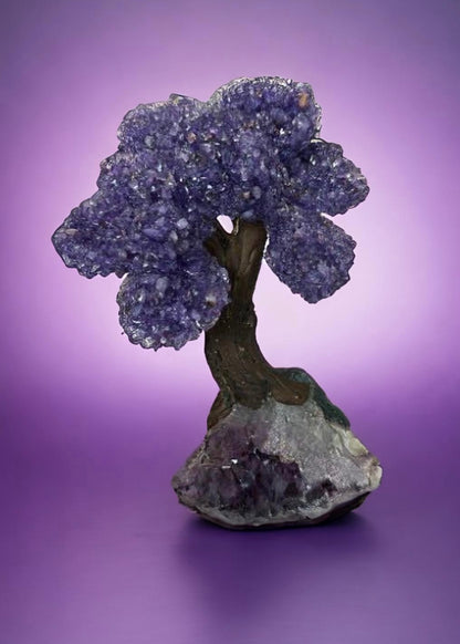 9.5 Inch Genuine Amethyst Tree (Clustered Gemstone Trees with faux bonsai tree trunk on Matrix)