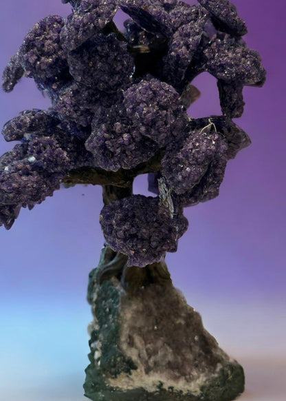 17.5 Inch Genuine Amethyst Tree (Clustered Gemstone Trees with faux bonsai tree trunk on Matrix)