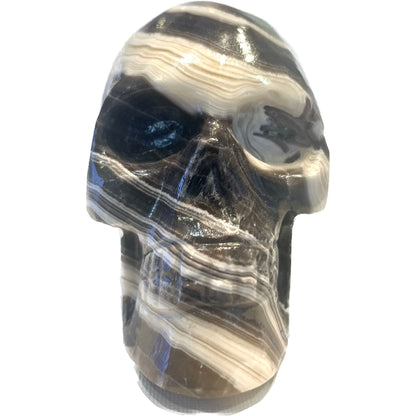 5 Inch Genuine Pakistani Zebra Onyx Skull