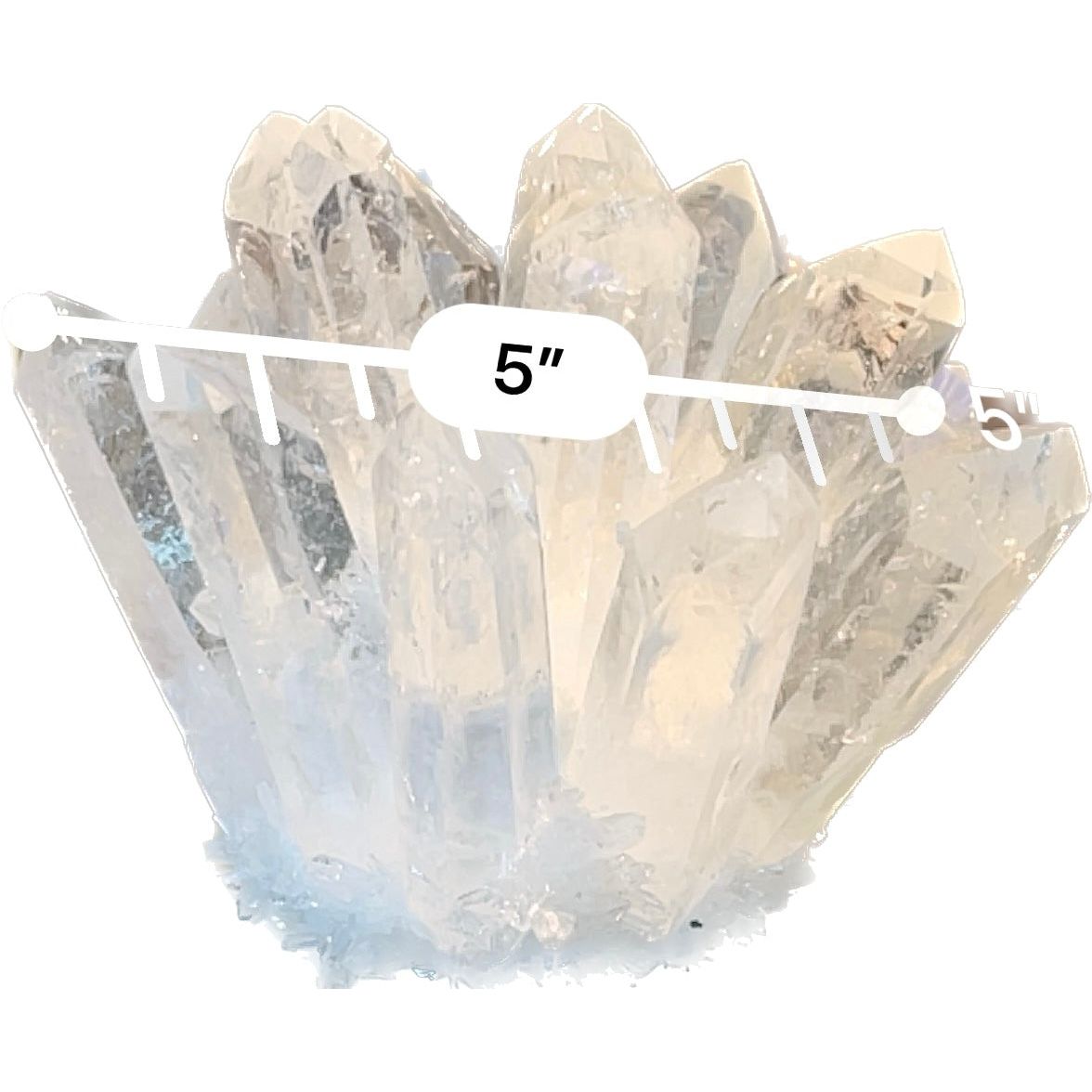 5 Inch Clear Quartz Phantom "Chlorite" Crystal