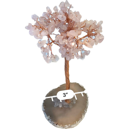 6 Inches Rose Quartz Agate Crystal Trees