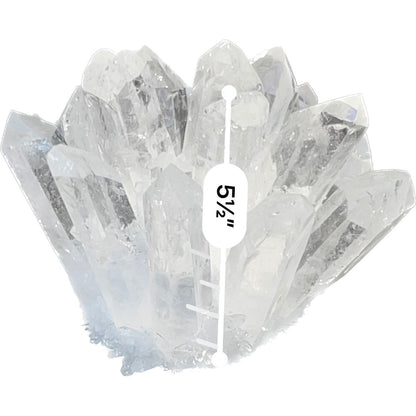 5 Inch Clear Quartz Phantom "Chlorite" Crystal