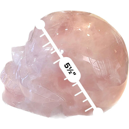 7 Inch Genuine Brazilian Rose Quartz Skull