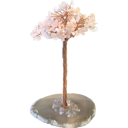 6 Inches Rose Quartz Agate Crystal Trees