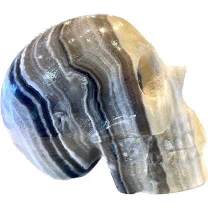 7 Inch Genuine Pakistani Zebra Onyx Skull