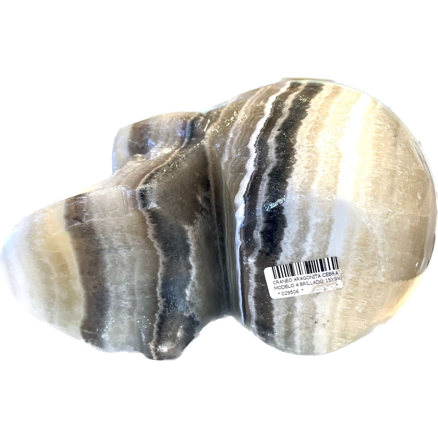 7 Inch Genuine Pakistani Zebra Onyx Skull