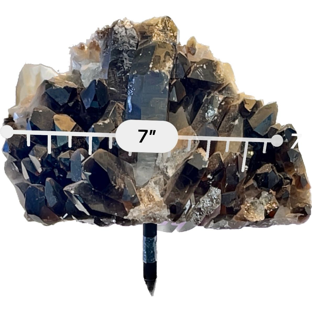 7 Inch Free Form Smokey Quartz on a Metal Stand