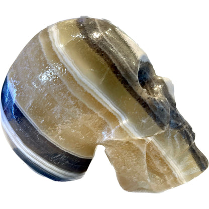 5 Inch Genuine Pakistani Zebra Onyx Skull