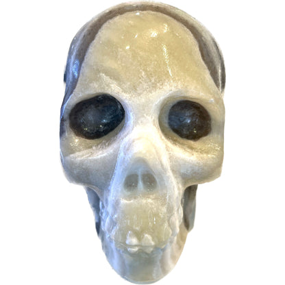 7 Inch Genuine Pakistani Zebra Onyx Skull