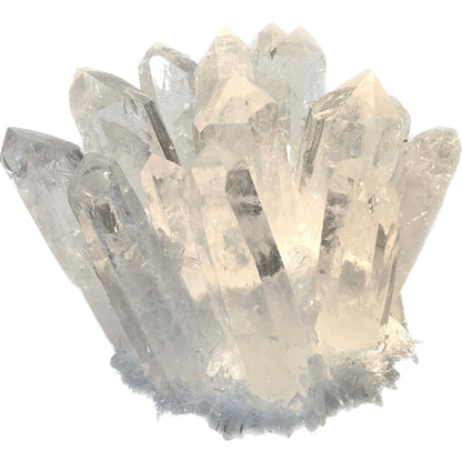 5 Inch Clear Quartz Phantom "Chlorite" Crystal