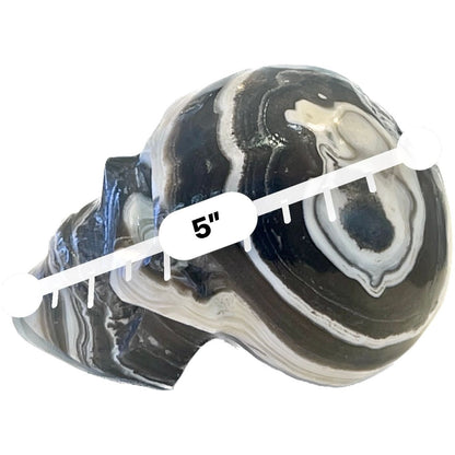 5 Inch Genuine Pakistani Zebra Onyx Skull