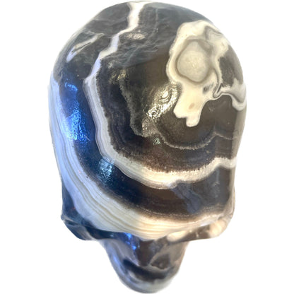 5 Inch Genuine Pakistani Zebra Onyx Skull