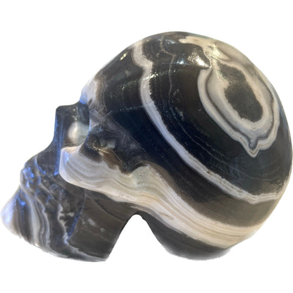 5 Inch Genuine Pakistani Zebra Onyx Skull