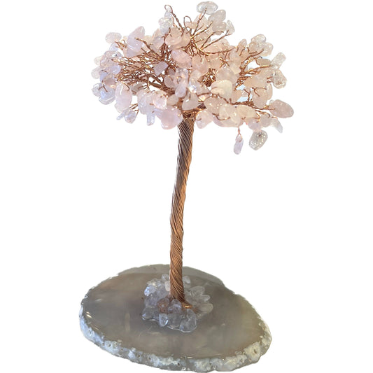 6 Inches Rose Quartz Agate Crystal Trees