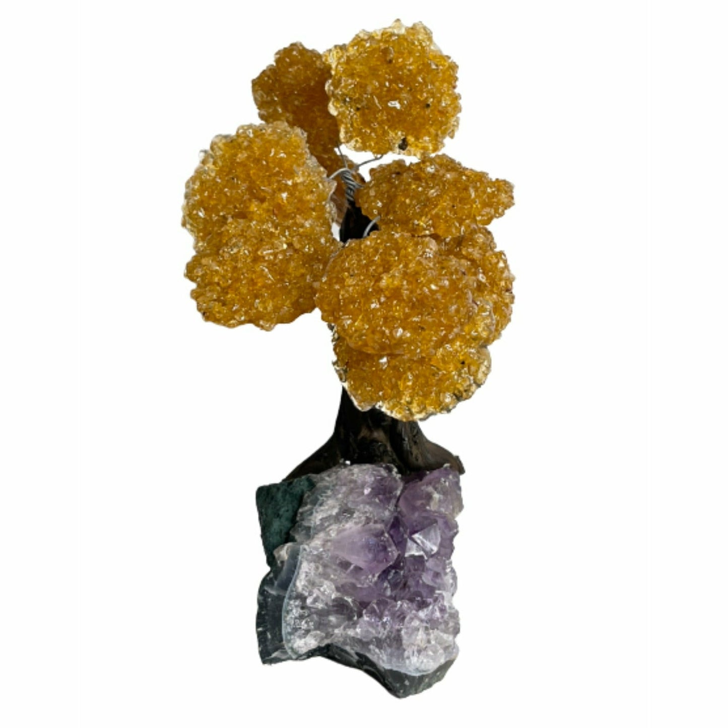 Large Money Tree - Citrine