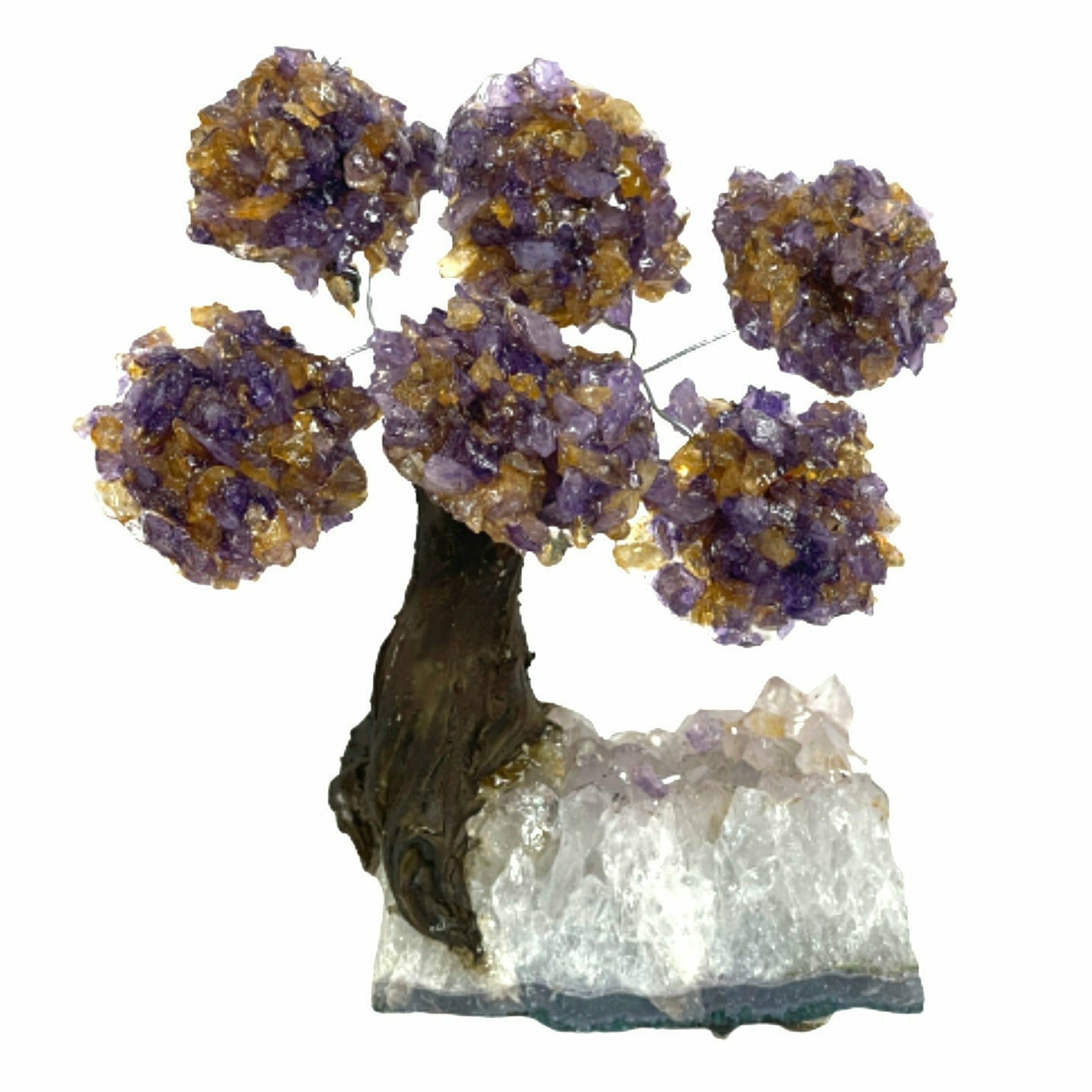 Medium Positive Energy & Money Tree - Ametrine