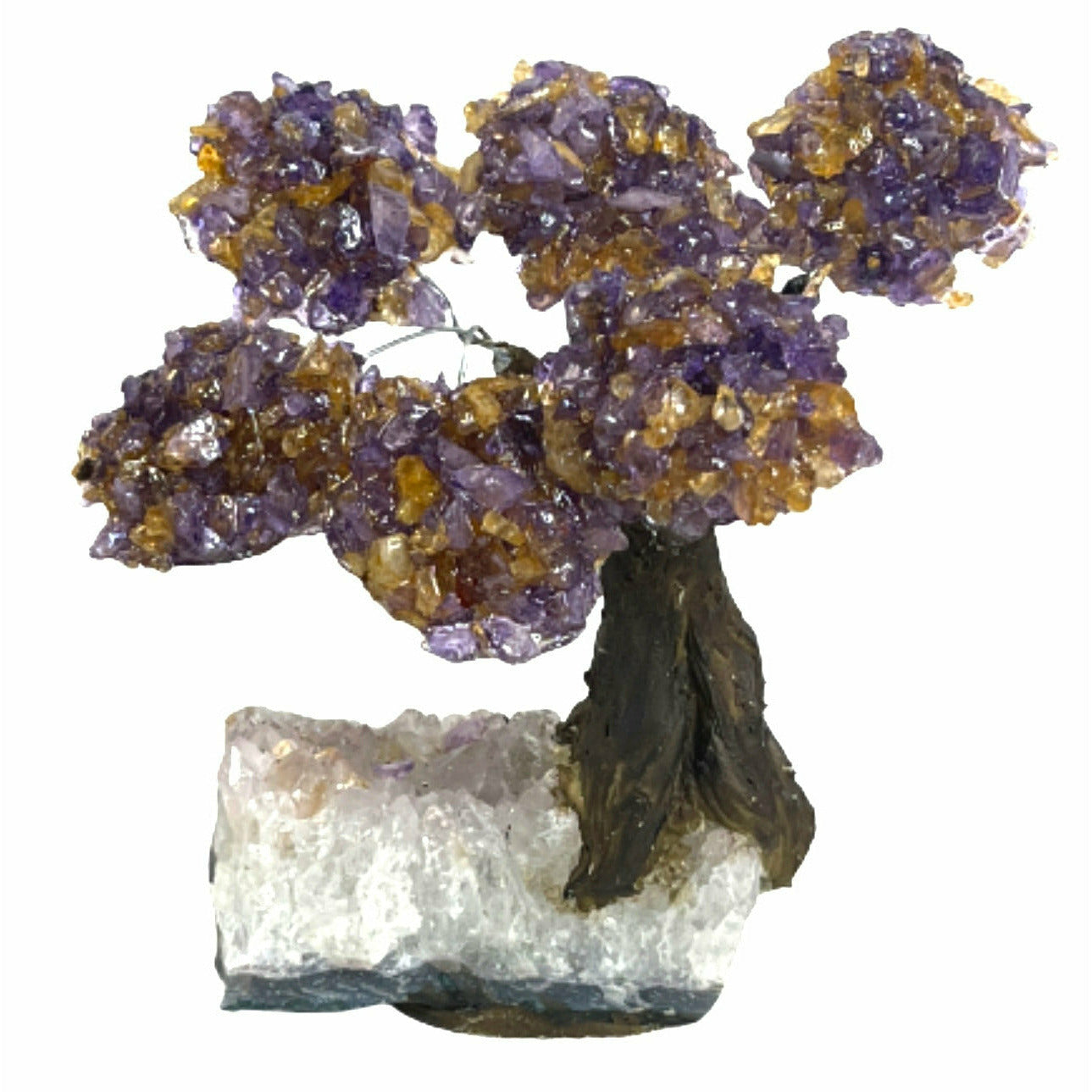 Medium Positive Energy & Money Tree - Ametrine