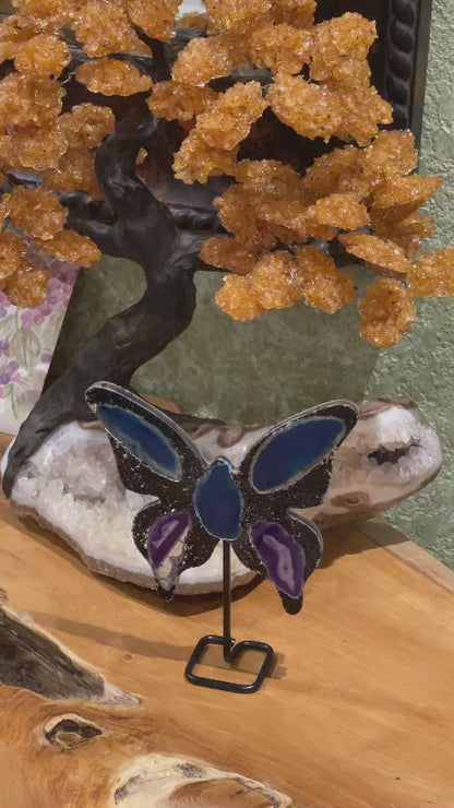 9" Tall Multi-Color Brazilian Agate "Butterfly Wings"