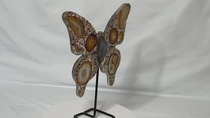 9" Tall Natural Brazilian Agate "Butterfly Wings"