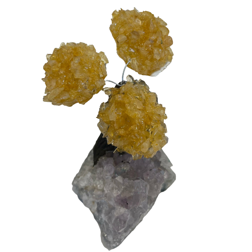 Genuine Citrine Clustered Gemstone Tree on Amethyst Matrix (The Money Tree)