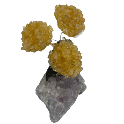 Genuine Citrine Clustered Gemstone Tree on Amethyst Matrix (The Money Tree)